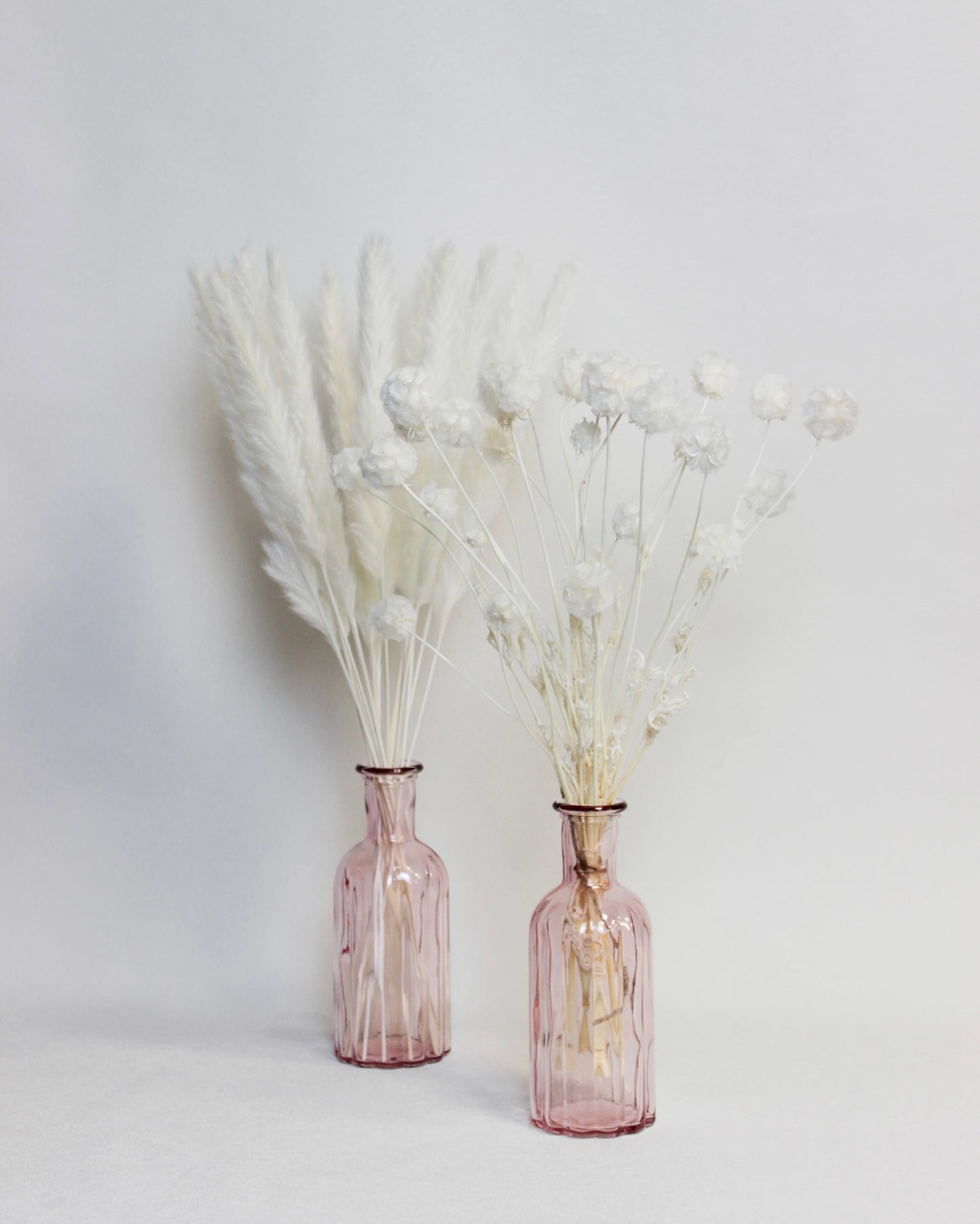 Small Pampas – Ivory (15 stems)