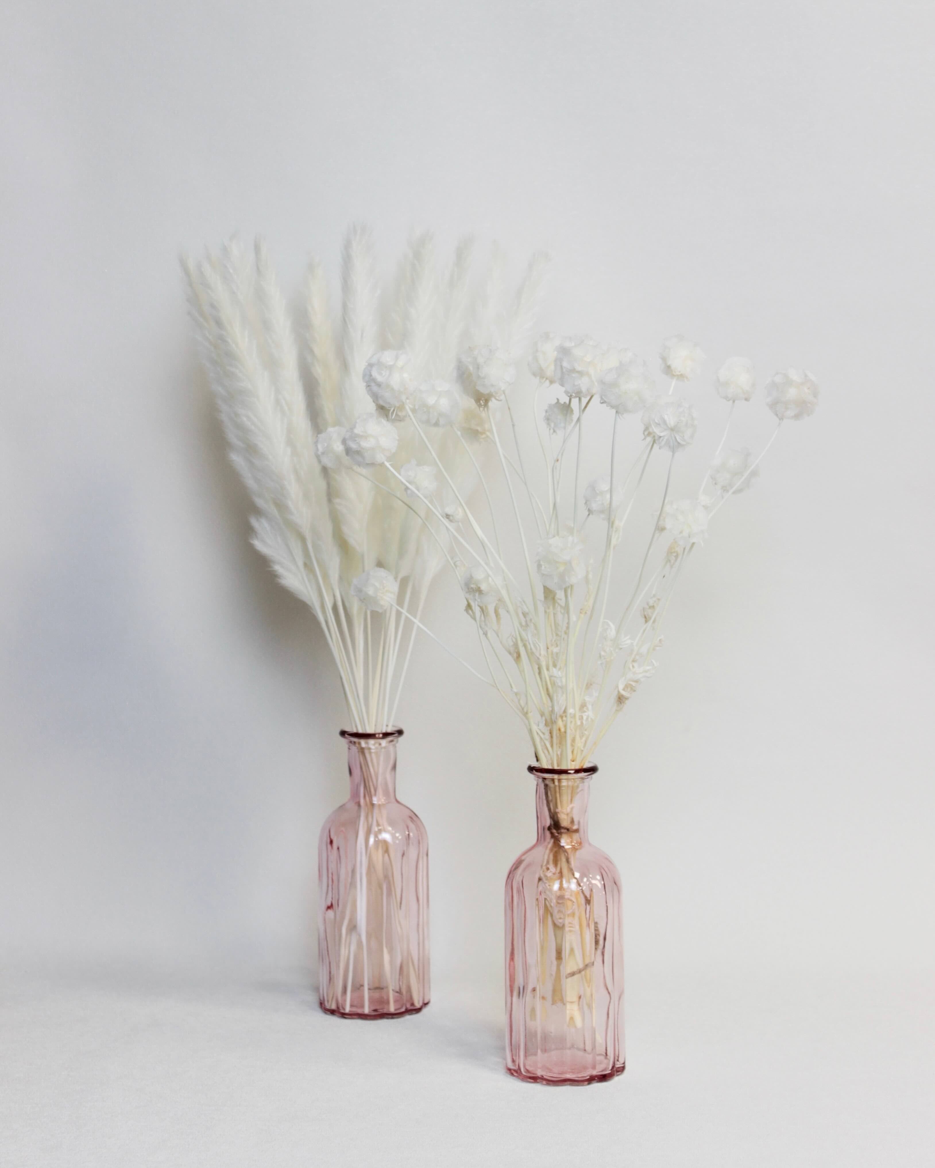 Small Pampas – Ivory (15 stems)
