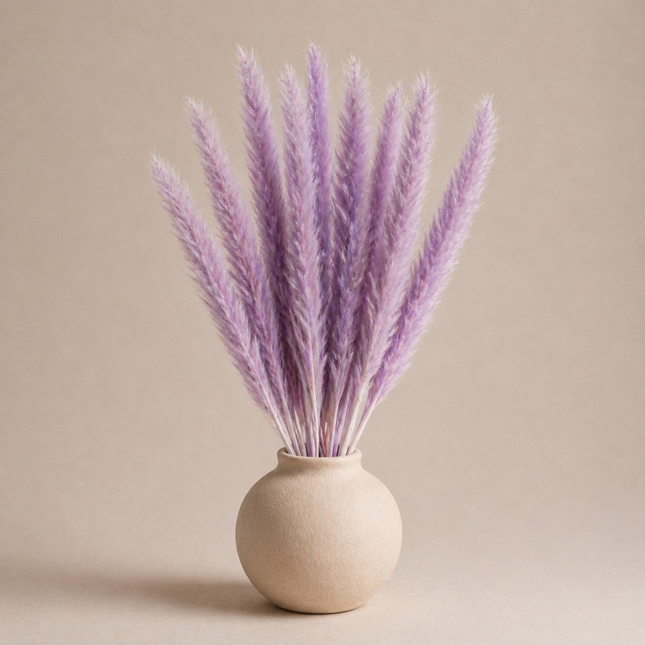 Small Pampas – Purple