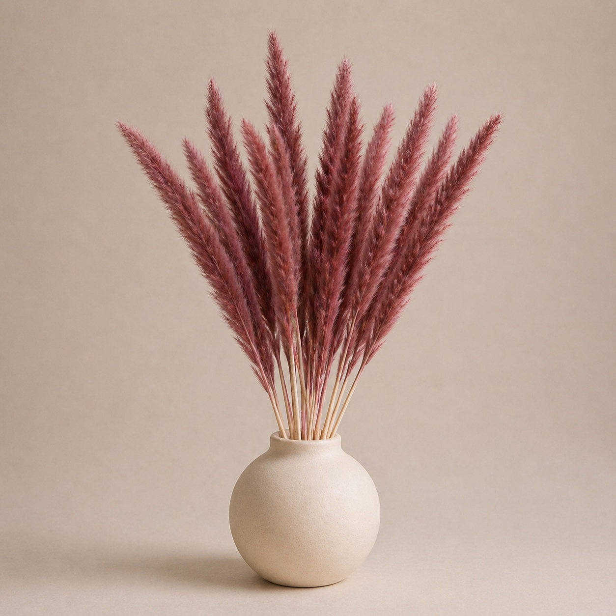 Small Pampas – Burgundy