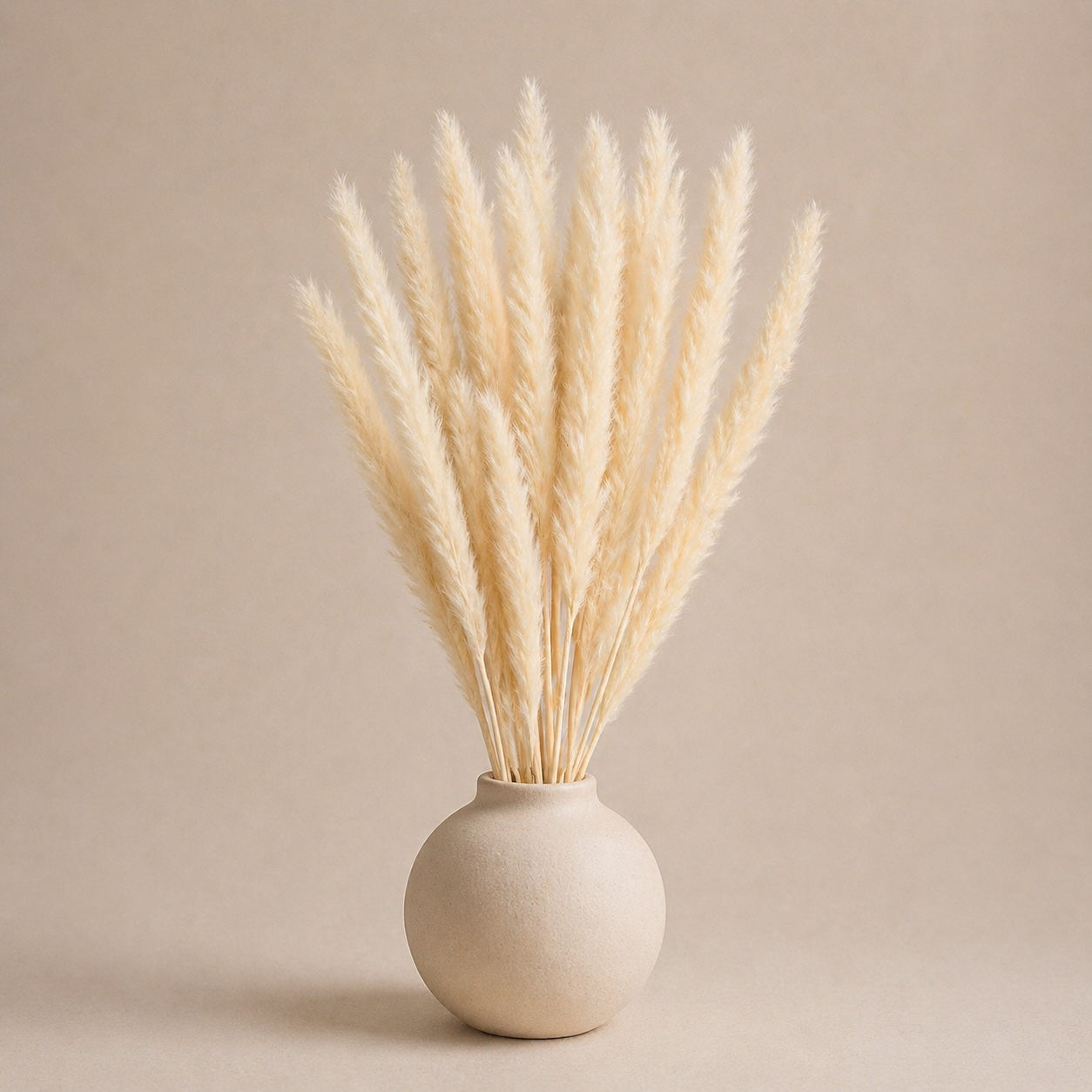 Small Pampas – Ivory