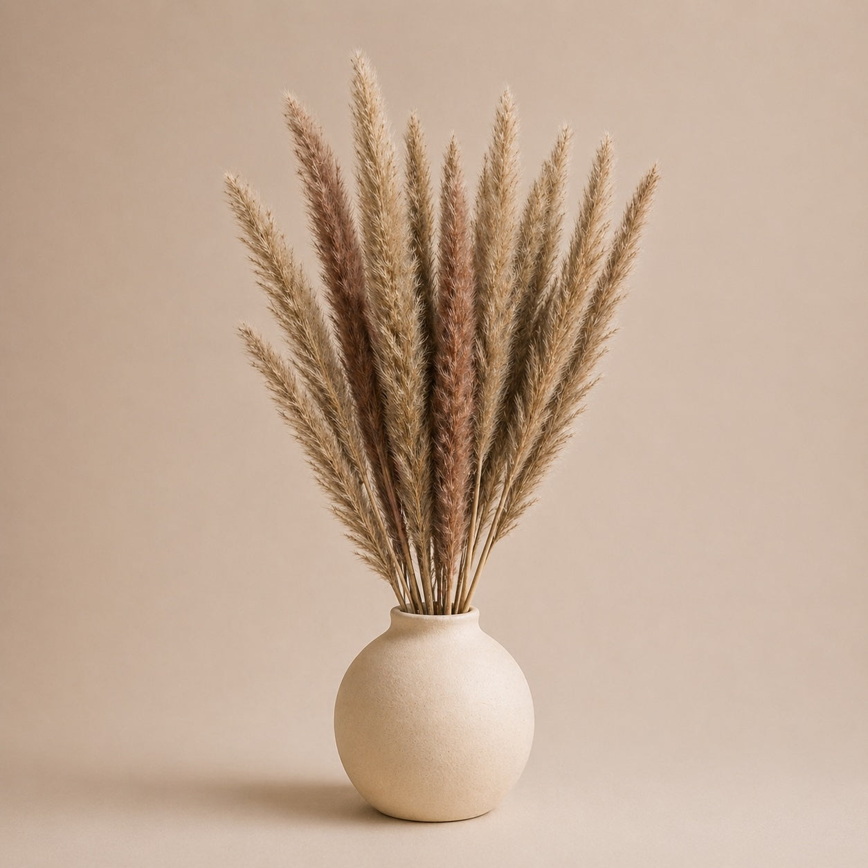 Small Pampas – Natural