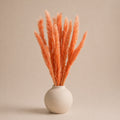 Small Pampas – Bright Orange