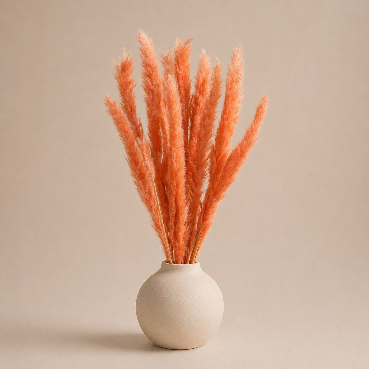 Small Pampas – Bright Orange