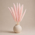 Small Pampas – Light Pink