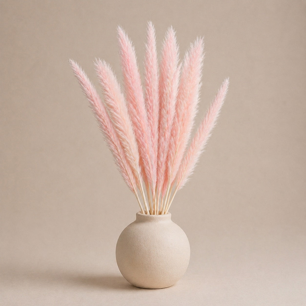 Small Pampas – Light Pink
